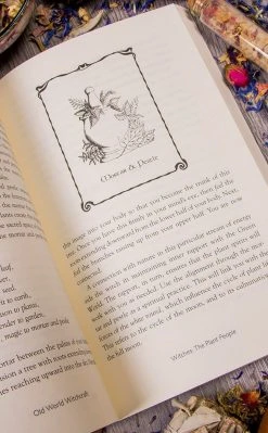 Occult Books Old World Witchcraft