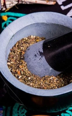 Witch Herbs Organic Bladderwrack | Witchcraft Herbs