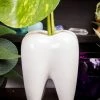 Tragic Beautiful Pearly White Plant Pot 1 Tragic Beautiful Pearly White Plant Pot