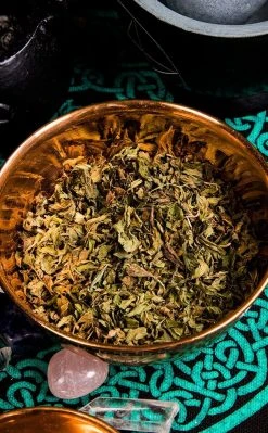 Witch Herbs Peppermint | Witchcraft Herbs