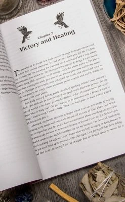 Occult Books Witchcraft Priestess Of The Morrigan