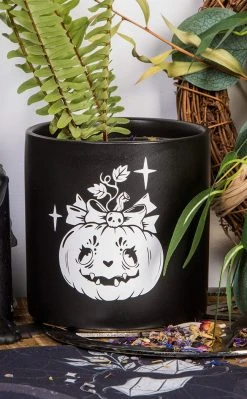Death By Plants Pumpkin Queen Plant Pot | White On Black