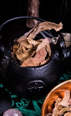 Witch Herbs Sacred Lotus | Witchcraft Herbs