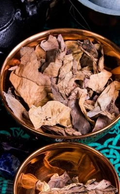 Witch Herbs Sacred Lotus | Witchcraft Herbs