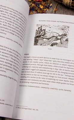 Occult Books Sea Magic | Connecting With The Ocean's Energy Witchcraft