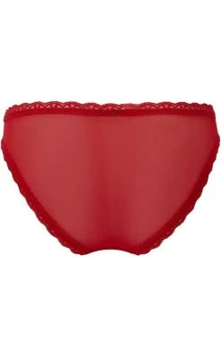 Killstar She Bites Lace Panty | Scarlet Clothing