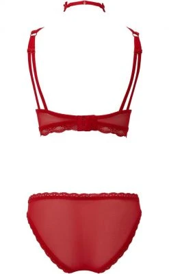 Killstar She Bites Lace Panty | Scarlet Clothing