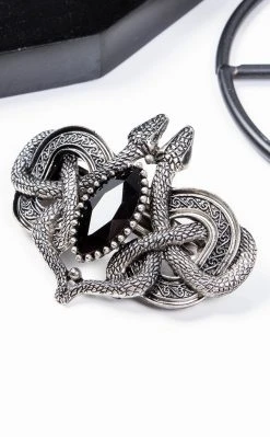 Restyle Accessories Snakes Of Avalon Hair Clip