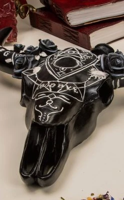 Nemesis Now Spiritual Remains Skull Wall Plaque