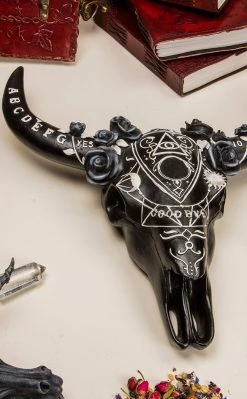 Nemesis Now Spiritual Remains Skull Wall Plaque