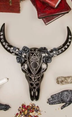 Nemesis Now Spiritual Remains Skull Wall Plaque