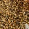 Witch Herbs St John's Wort | Witchcraft Herbs