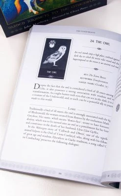 Occult Books Witchcraft The Celtic Shaman's Pack