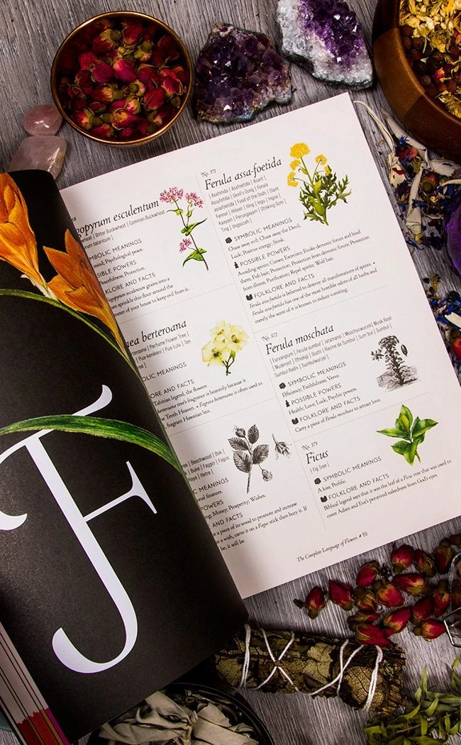 Occult Books Witchcraft The Complete Language Of Flowers 4 Occult Books Witchcraft The Complete Language Of Flowers