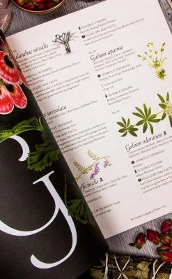 Occult Books Witchcraft The Complete Language Of Flowers 8 Occult Books Witchcraft The Complete Language Of Flowers