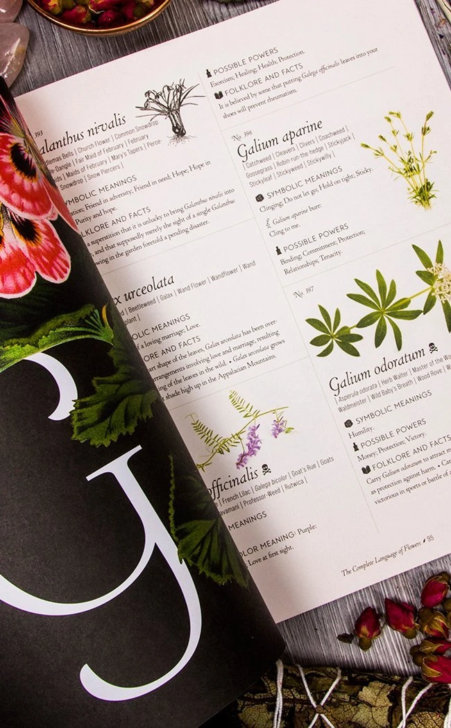 Occult Books Witchcraft The Complete Language Of Flowers 5 Occult Books Witchcraft The Complete Language Of Flowers