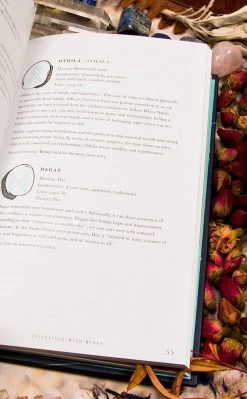 Occult Books The Divination Handbook Home Decor