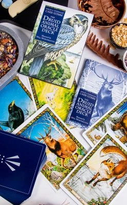 Occult Books Witchcraft The Druid Animal Oracle Deck