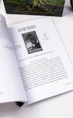 Occult Books Witchcraft The Spirit Of Nature Oracle