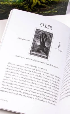 Occult Books Witchcraft The Spirit Of Nature Oracle