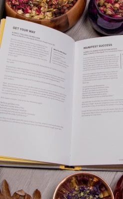 Occult Books The Witch's Spellbook