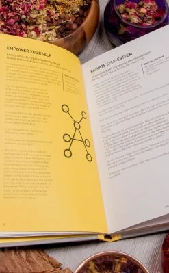 Occult Books The Witch's Spellbook