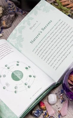 Occult Books The Witch's Way Witchcraft