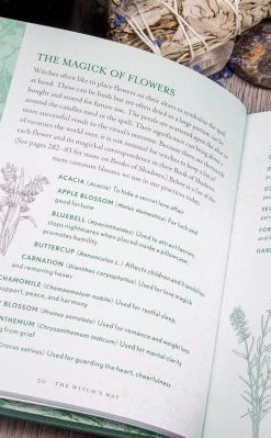Occult Books The Witch's Way Witchcraft