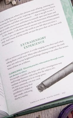 Occult Books The Witch's Way Witchcraft