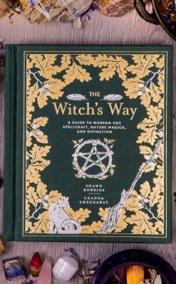 Occult Books The Witch's Way Witchcraft
