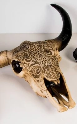 Gothic Gifts Home & Gifts Tribal Cow Skull | Wall Plaque