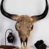 Gothic Gifts Home & Gifts Tribal Cow Skull | Wall Plaque