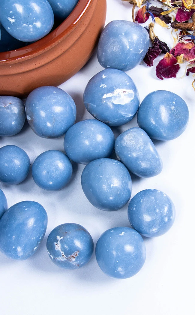Crystals Tumbled Stones | Angelite 5 Crystals Tumbled Stones | Angelite