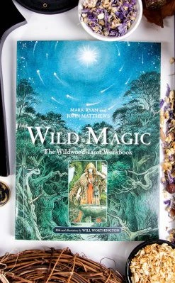 Occult Books Wild Magic: The Wildwood Tarot Workbook