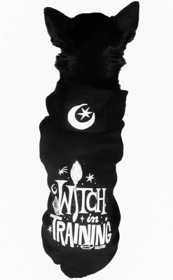 Killstar Sale Witch In Training Pet Hoodie