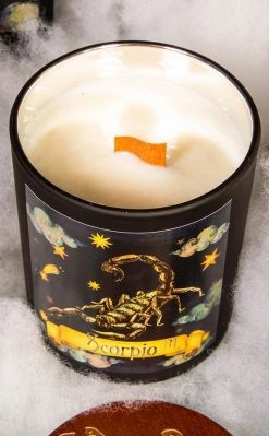 Tragic Beautiful Zodiac Candle | Scorpio 9 Tragic Beautiful Zodiac Candle | Scorpio